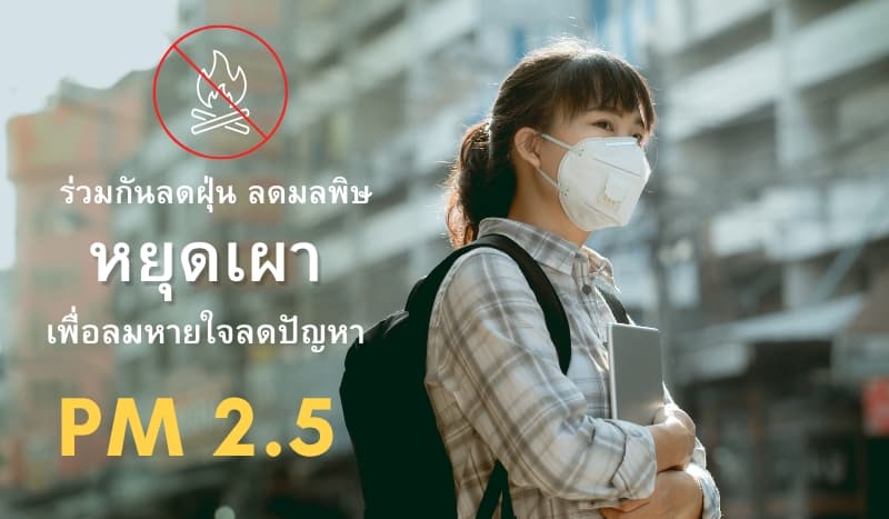 วิธีปรับตัวธุรกิจ กับฝุ่น PM 2.5 