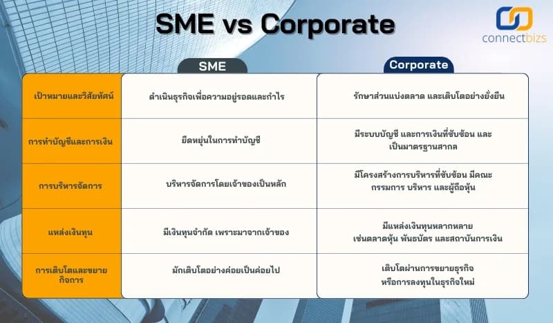 ธุรกิจขนาดเล็ก vs ธุรกิจขนาดใหญ่